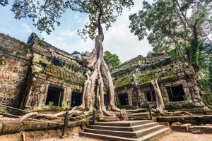 ta-prohm-temple-angkor-cambodia